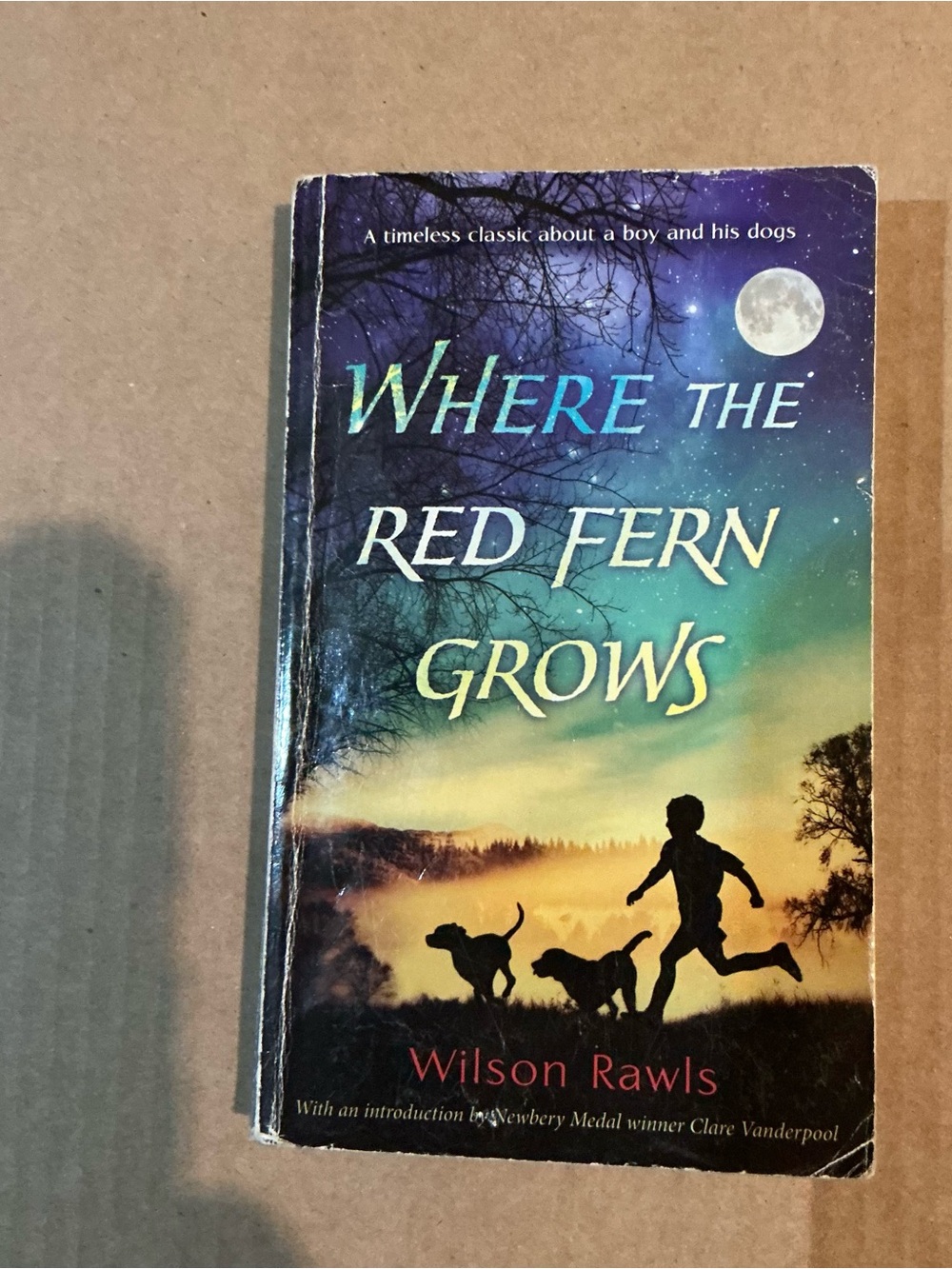 Where the Red Fern Grows